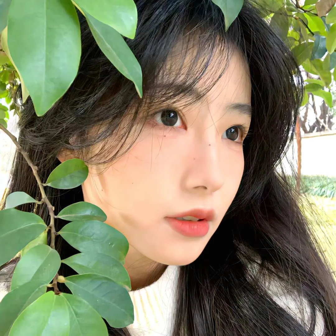 掌脸